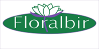 FLORISTERIA FLORALBIR